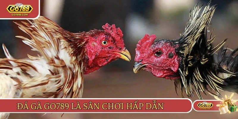 Đá gà GO789 luôn là sự lý tưởng dành cho người chơi