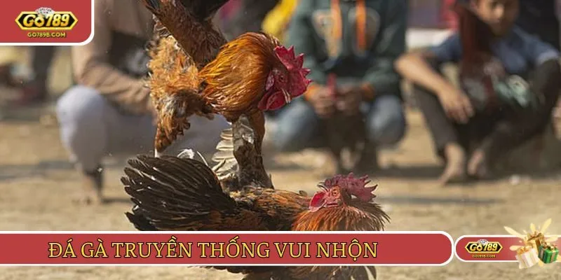 Hình thức chọi kê truyền thống mang đến trải nghiệm tuyệt vời
